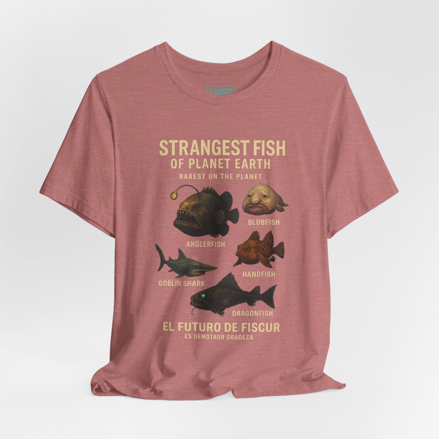 Strangest Fish