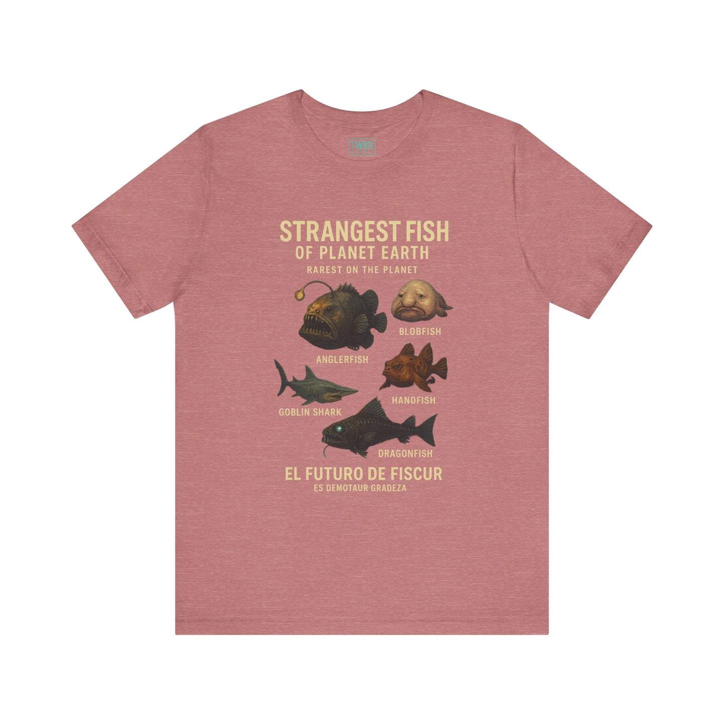 Strangest Fish