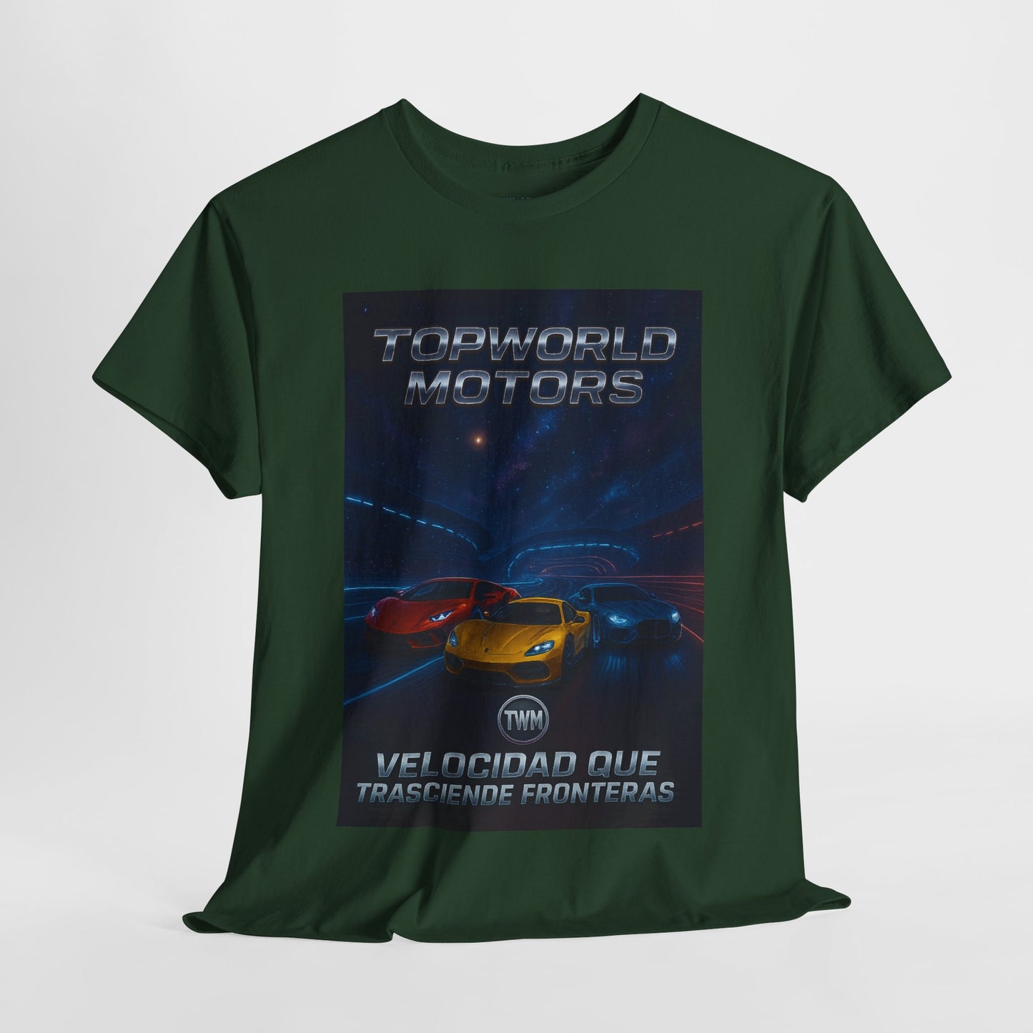 TW Motors